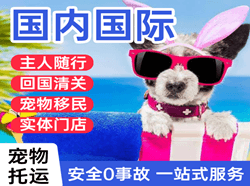 宁波机场邮寄国际宠物托运 【国